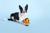 BARK dog toys Super Chewer Fowl Play Rooster Interactive Plush Rubber Treat Dog Chew Toy