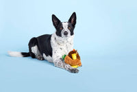 BARK dog toys Super Chewer Fowl Play Rooster Interactive Plush Rubber Treat Dog Chew Toy