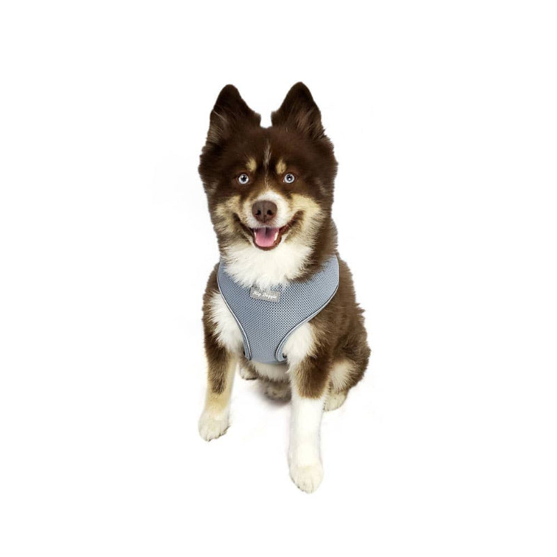 Barker's Bowtique Barker's Bowtique - Hip Doggie-Old Header Cards- Ultra Comfort Harness-Grey: XS