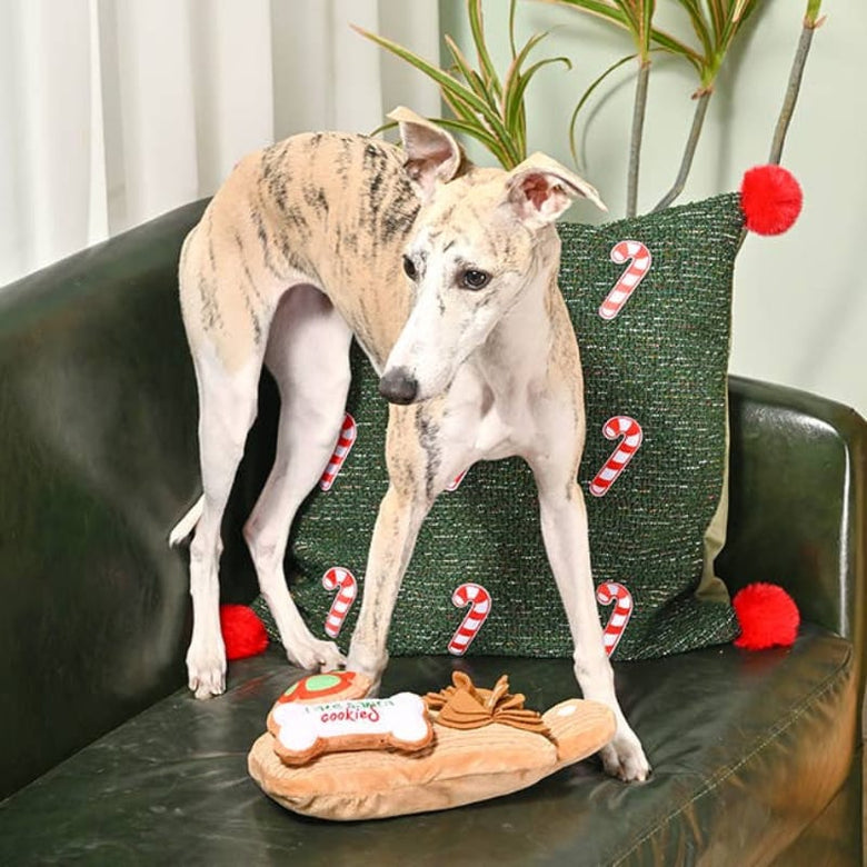 Hugsmart Products Inc dog toys Happy Woofmas Cookie Board Interactive Plush Dog Toy Set