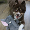Savannah The Elephant Grey Plush Squeaky Dog Toy - Large