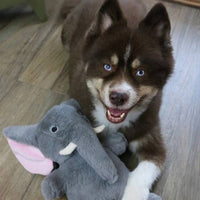 Savannah The Elephant Grey Plush Squeaky Dog Toy - Large