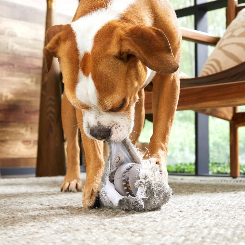BARK dog toys Hare Raiser Rabbit Rubber Super Chewer Grey Dog Toy - Med