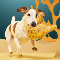 BARK dog toys Coral Ruff Leopold Leopard Shark with Hidden Toy Inside Plush Squeak Dog Toy