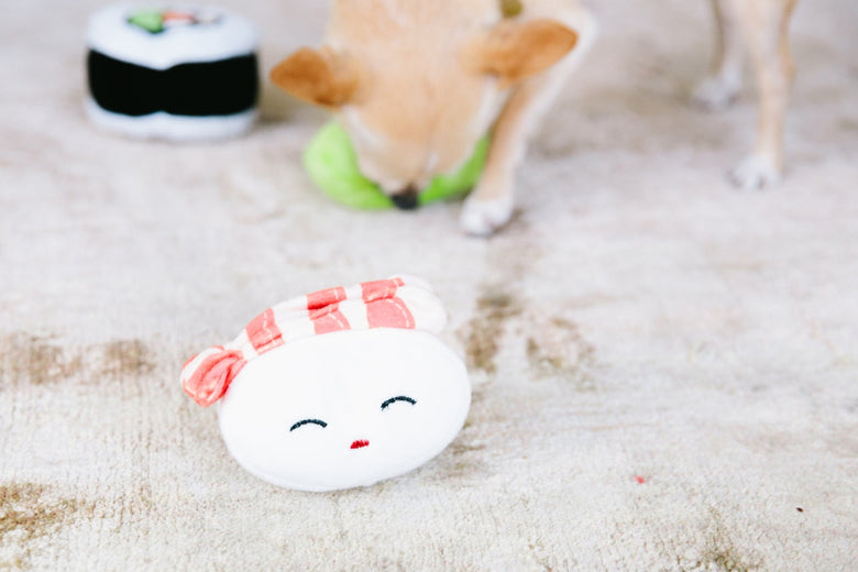 Sushi Bento Plush Squeaky Dog Toy Set - 3 pc