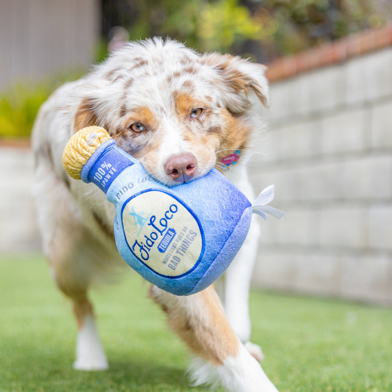Fido Loco Squeak Plush Squeaky Dog Toy - 2 Sizes