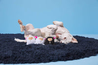 BARK dog toys Baa Baa Bark Sheep Counting Plush Squeak Dog Toy Set - 3 Pc