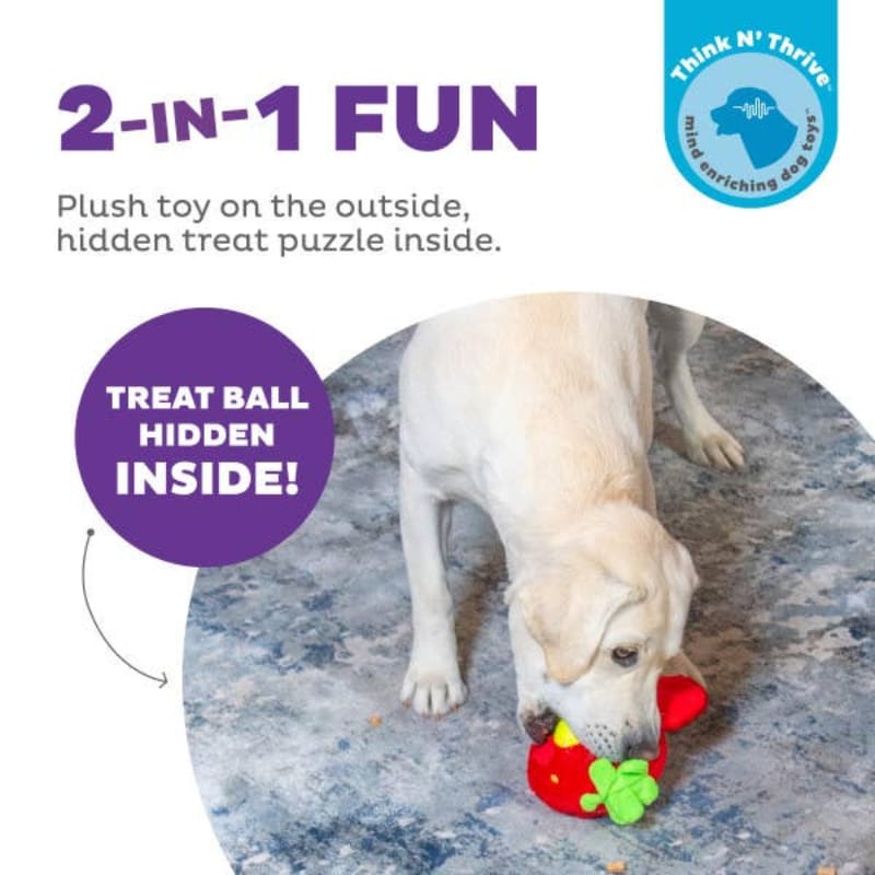 Outward Hound dog toys Fruity Findz Red Strawberry Interactive Ball Plush Dog Toy