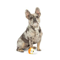 Huxley & Kent Huxley & Kent - Tiny Tuff Kookie Korn