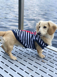 Parisian Pet® Tee's Red Lobster Striped Chasing Tail Summer Vibe Dog T-Shirt
