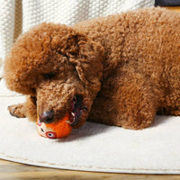 Hugsmart Products Inc dog toys Zoo Ball Sloth Ball Dog Toy