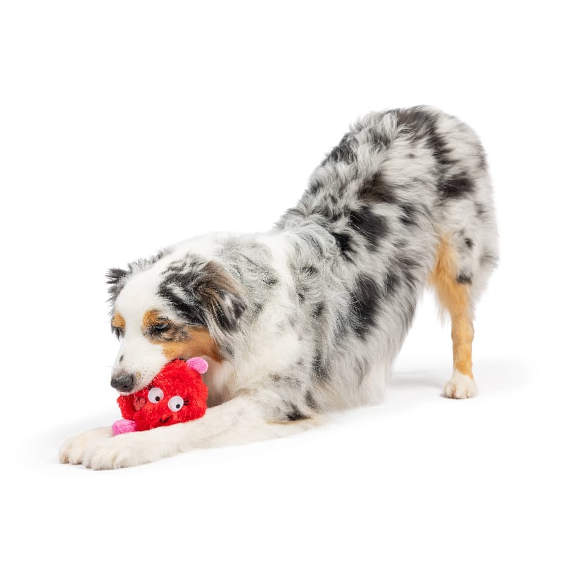 Huxley & Kent dog toys Fur Bug Plush Dog Toy