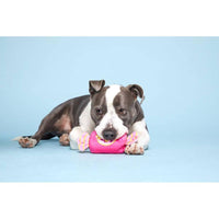BARK dog toys Bubble Gum Plush Dog Toy