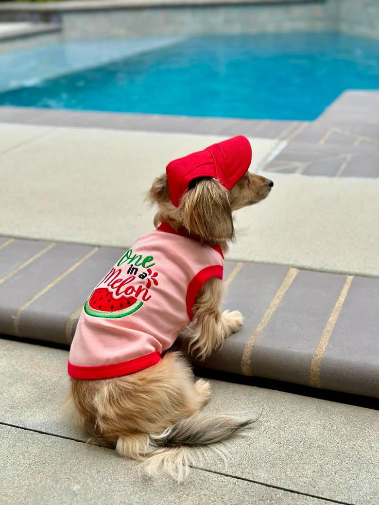 Parisian Pet® Tee's One in a Melon Pink Dog T-Shirt