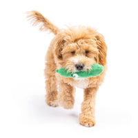 Huxley & Kent Dog Toys Tiny Tuff Green Dell Pickle Plush Squeak Dog Toy