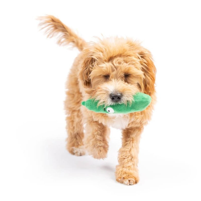 Huxley & Kent Dog Toys Tiny Tuff Green Dell Pickle Plush Squeak Dog Toy