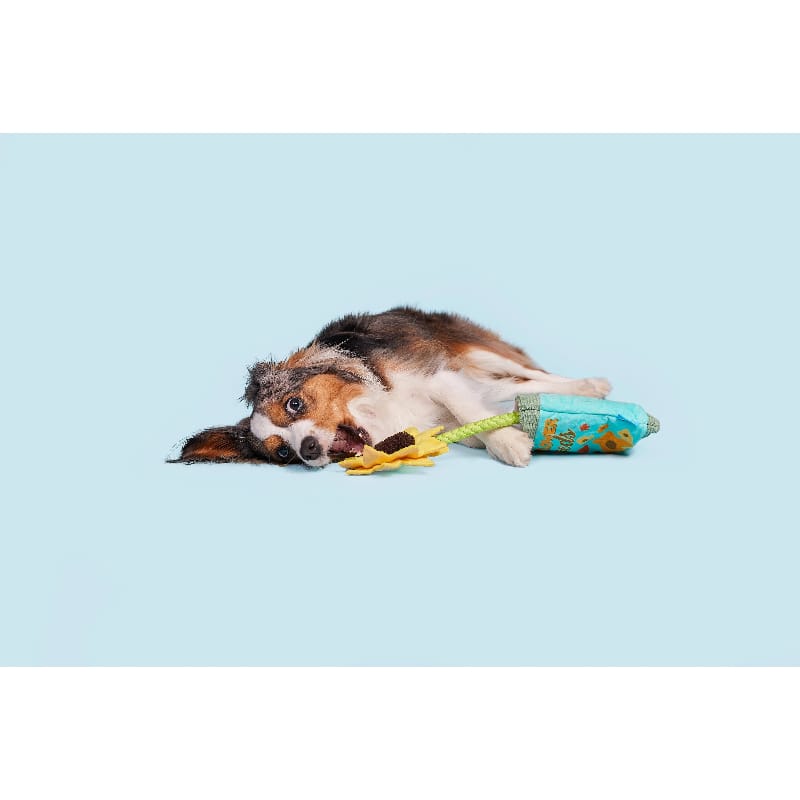 BARK dog toys Funflower Seeds Daisy Plush Rope Dog Toy
