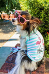 Parisian Pet® Tee's Pink Flamingos Tropical Paradise Blue Stripe Dog T-Shirt