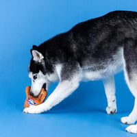 Catch You're Out Baseball Mitt Sports Plush Squeaky Dog Toy