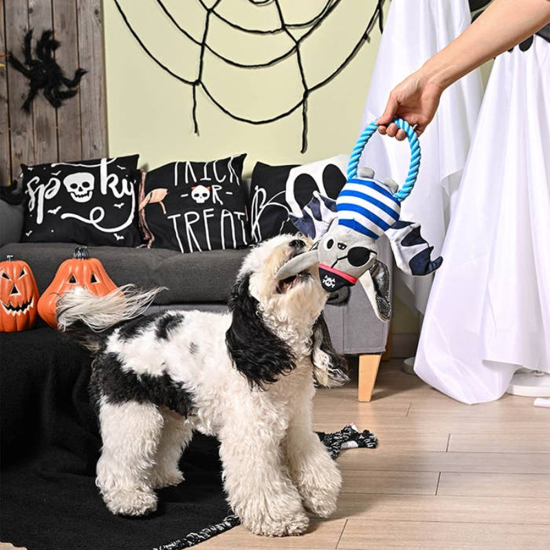 Hugsmart Products Inc Hugsmart Products Inc - HugSmart Pet - Howloween Night | Pirate Bat - Dog Rope Toy