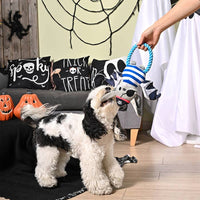 Hugsmart Products Inc Hugsmart Products Inc - HugSmart Pet - Howloween Night | Pirate Bat - Dog Rope Toy