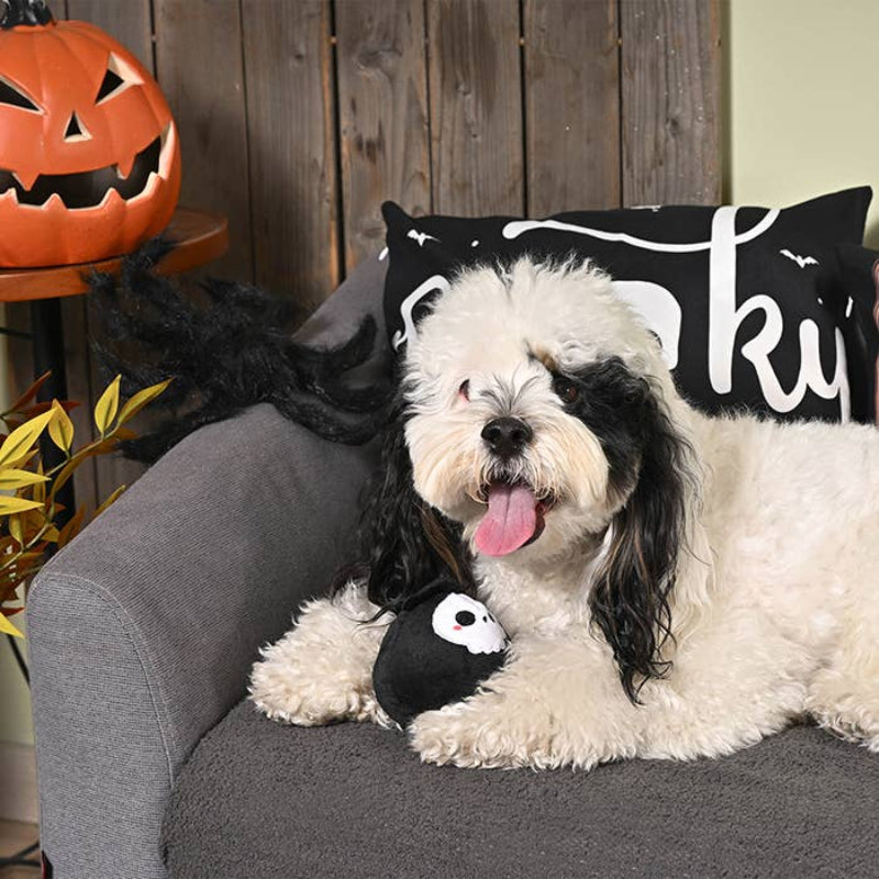Hugsmart Products Inc Hugsmart Products Inc - HugSmart Pet - Howloween Night | Grim Reaper Black Ball