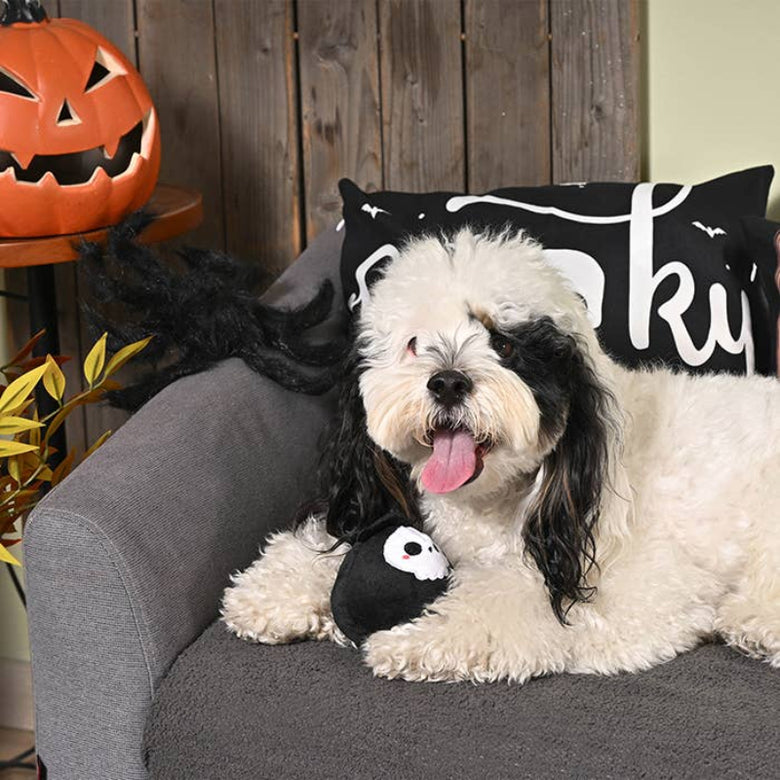 Hugsmart Products Inc Hugsmart Products Inc - HugSmart Pet - Howloween Night | Grim Reaper Black Ball