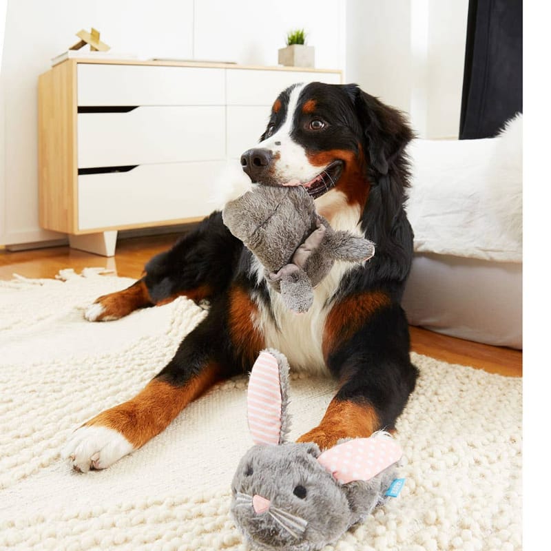 BARK dog toys Itty & Bitty the Bunny Slippers Plush Squeak Dog Toy - 2 Pc