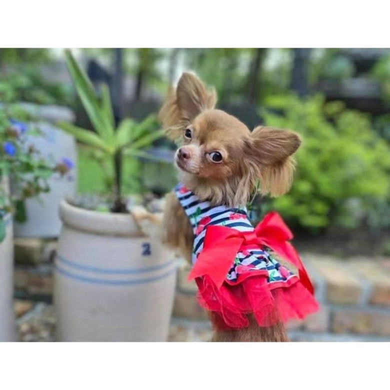 Doggie Design Dog Apparel Red Cherry Stripe Dog Harness Dress & Matching Leash