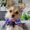 Huxley & Kent Huxley & Kent - American Tie Dye Bow Tie: Small