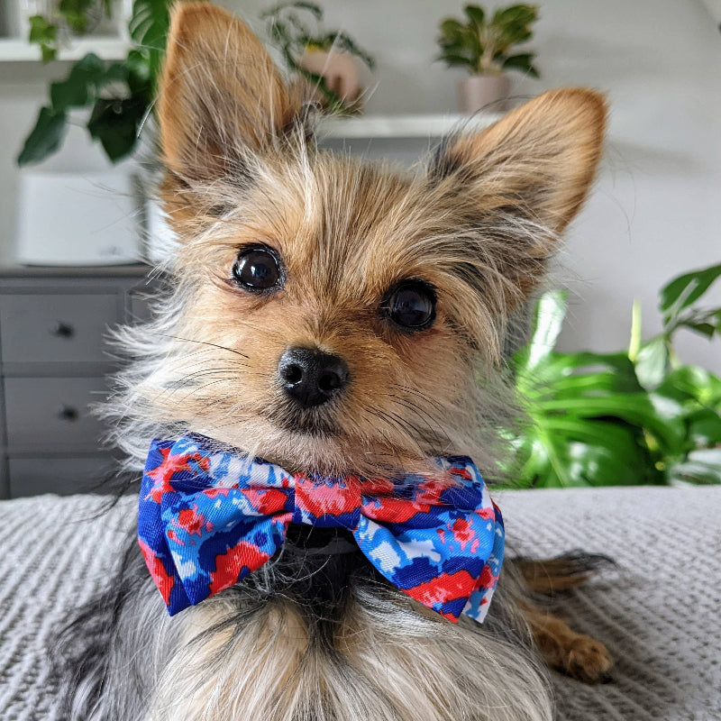 Huxley & Kent Huxley & Kent - American Tie Dye Bow Tie: Small