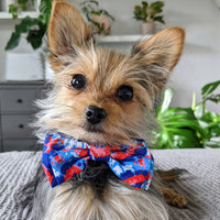 Huxley & Kent Huxley & Kent - American Tie Dye Bow Tie: Small