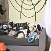 Hugsmart Products Inc Hugsmart Products Inc - HugSmart Pet - Howloween Night | Pirate Bat - Dog Rope Toy