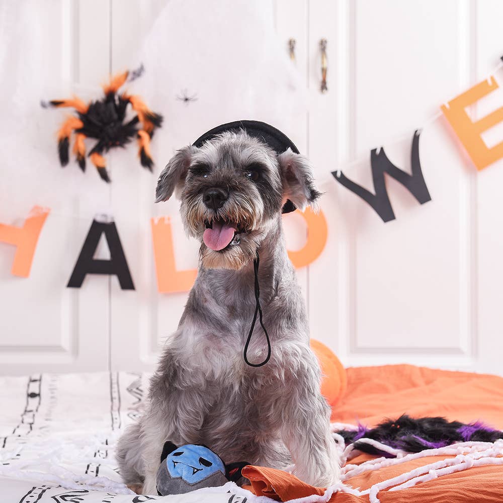 Hugsmart Products Inc dog toys Howloween Night Vampire Ball Dog Toy