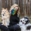 Huxley & Kent Bow Tie Rainbow Unity Pet Bow Tie - 3 Sizes