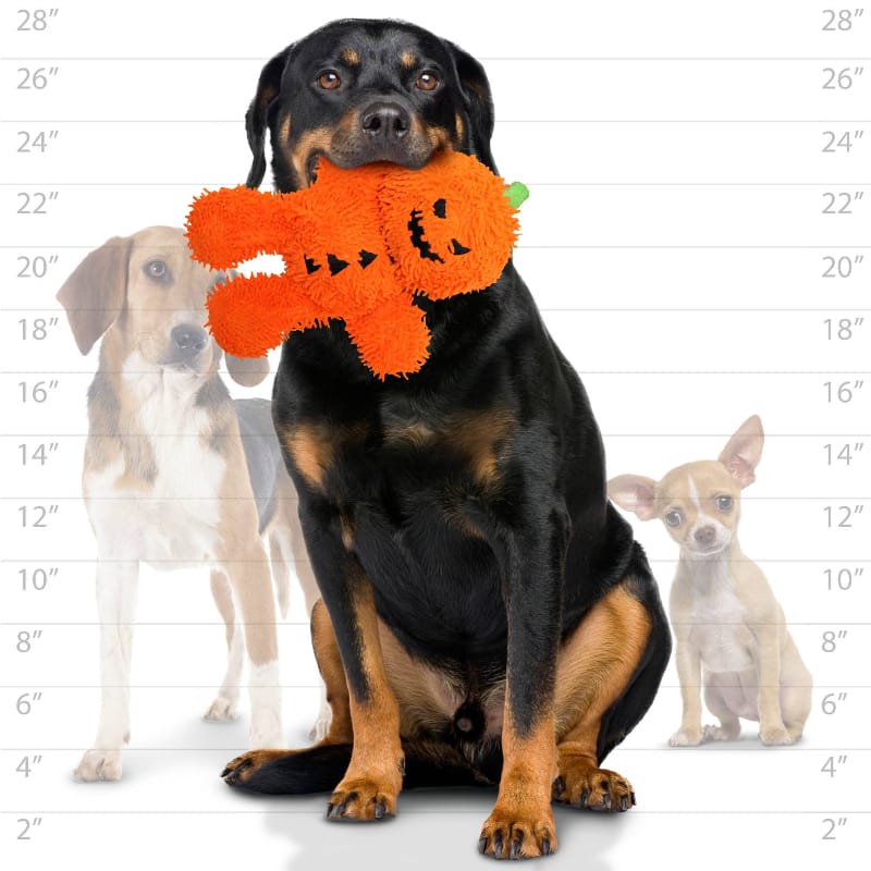 Tuffy Dog Toys - VIP Products dog toys Halloween Mighty Microfiber Ball Pumpkin Man Durable Dog Toy