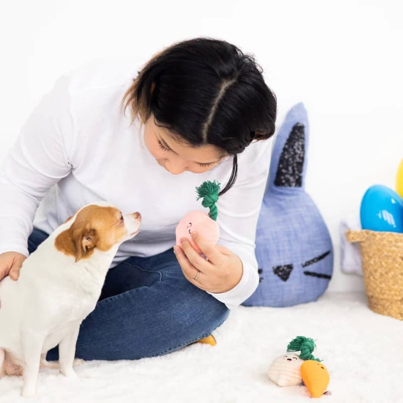 Pearhead, Inc. dog toys Spring Veggies Plush Dog Toy Set - 3 Pk