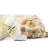 Huxley & Kent dog toys Matcha Pee Latte Plush Squeaky Dog Toy (Double Sided) - 2 Sizes