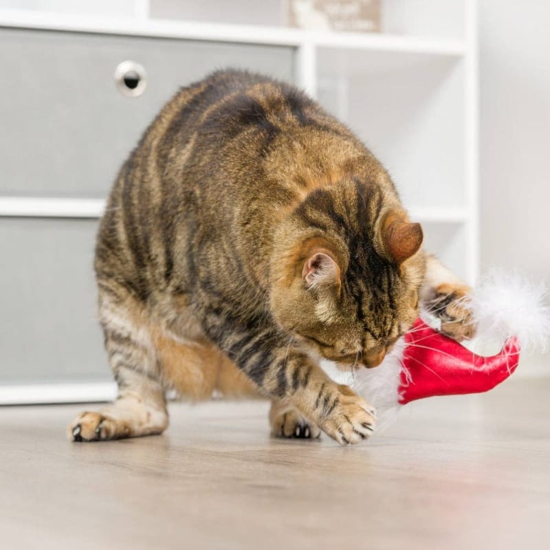 Huxley & Kent Cat Toys Holiday Santa Hat & Sweet Thing Cat Toy Set - 2 Pk