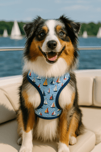 Parisian Pet® Harnesses Sailboats Freedom Ocean Blue Dog Harness