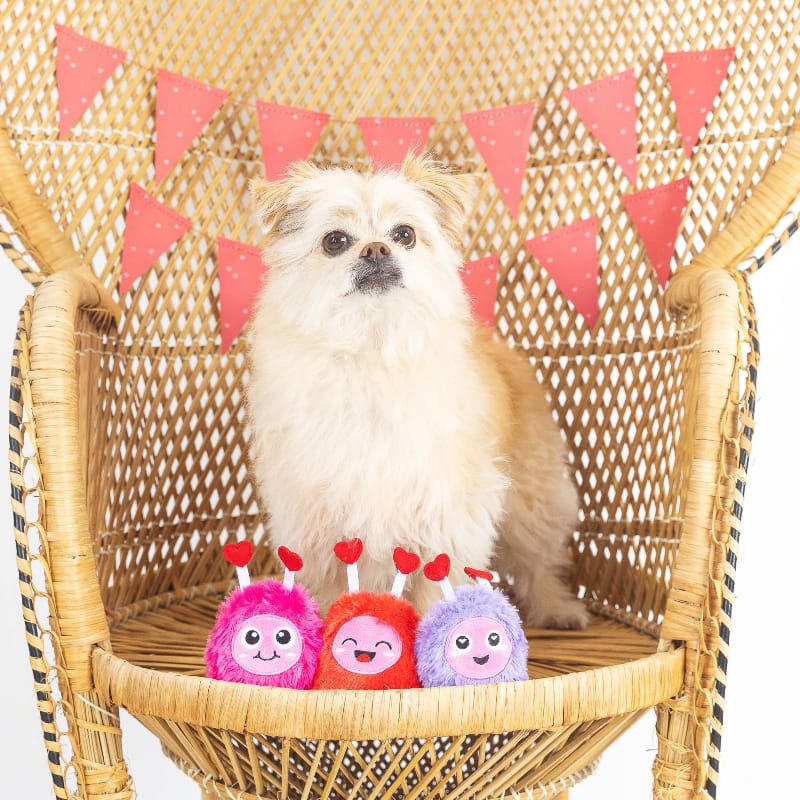 Pet Shop by Fringe Studio dog toys Love Connection Plush Squeak Dog Toy Set - 3 Pc