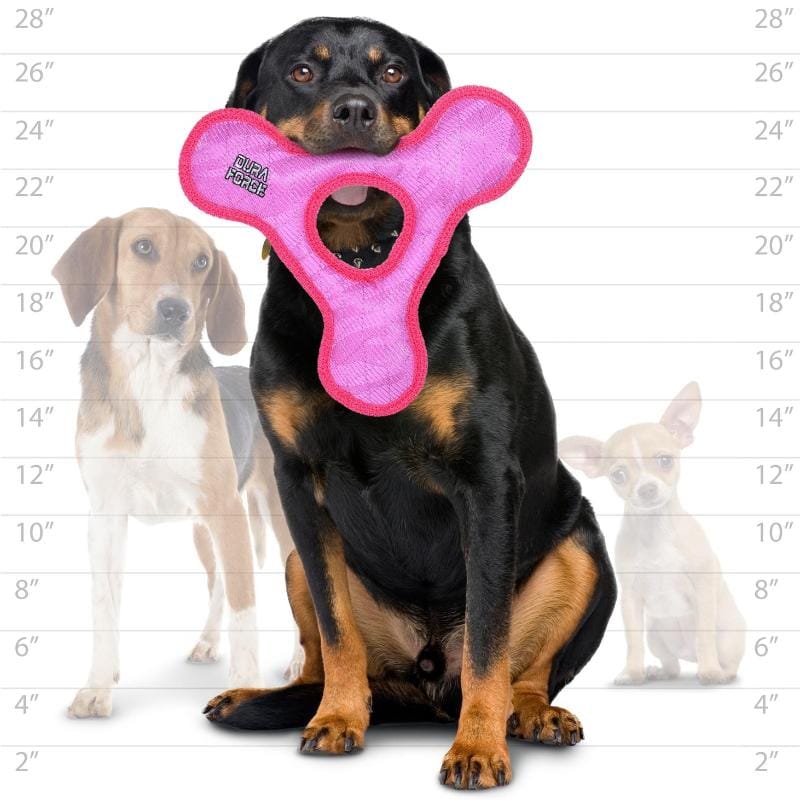 VIP Products/Tuffy dog toys Duraforce Pink Triangle Ring Dog Toy Jr