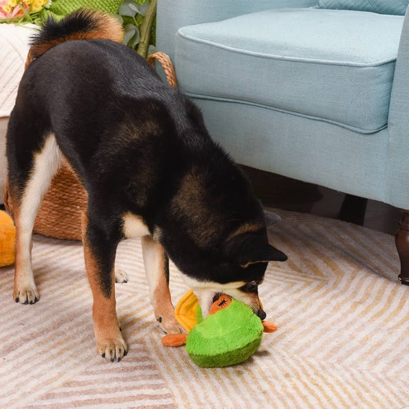 Hugsmart Products Inc dog toys Picnic Time Avocado with Flower Hat Squeaky Plush Dog Toy