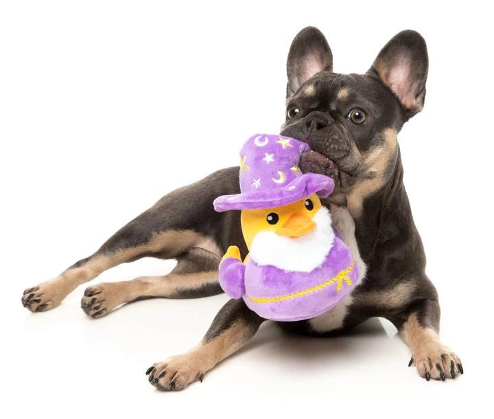 FuzzYard dog toys Sirius Quack Magical Purple Duck Plush Squeak Dog Toy - 2 Sizes