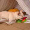Hugsmart Products Inc dog toys Autumn Tailz Turkey Avocado Plush Dog Toy