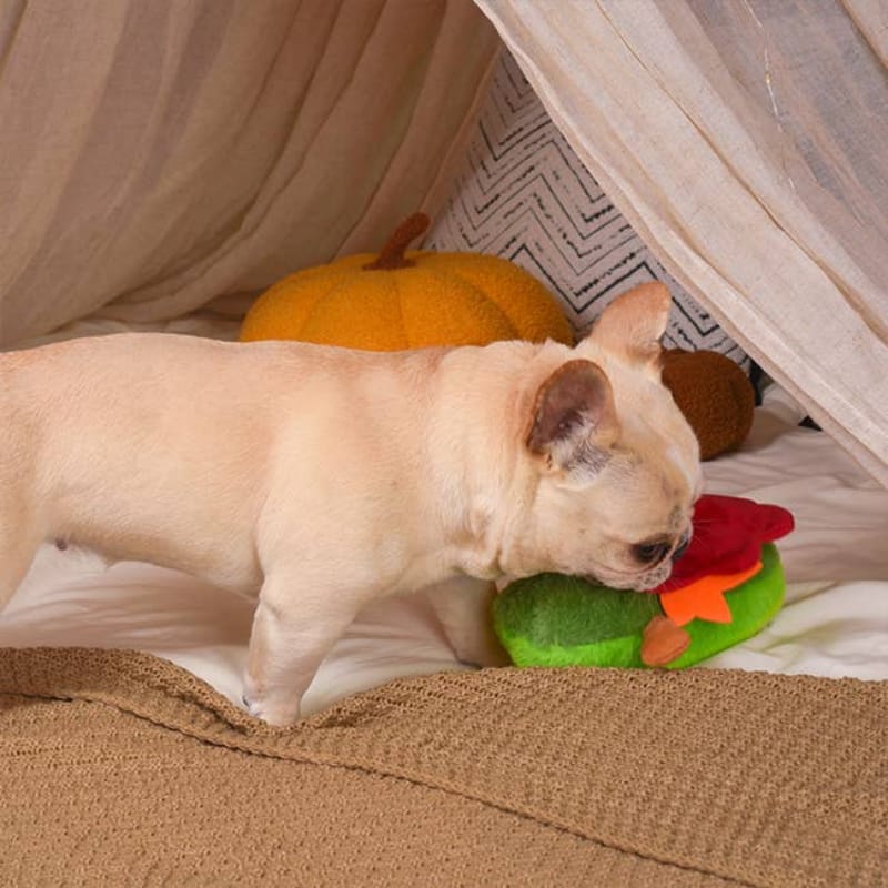 Hugsmart Products Inc dog toys Autumn Tailz Turkey Avocado Plush Dog Toy