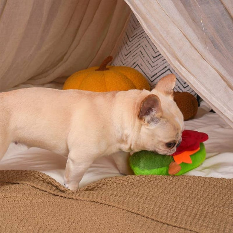 Hugsmart Products Inc dog toys Autumn Tailz Turkey Avocado Plush Dog Toy