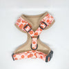 Chicago Dog Co. Pet Collars & Harnesses Flower Power Harness