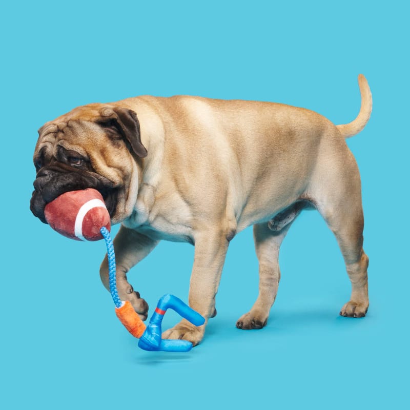 BARK dog toys The Whole Canine Yards Football & Goal Post Rope Tug Plush Squeak Dog Toy