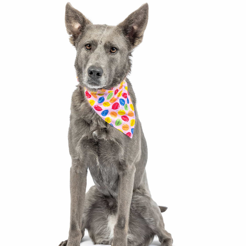 Huxley & Kent Huxley & Kent - Party Time Pink Bandana 2.0: Pink / Small